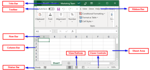 Excel Basics